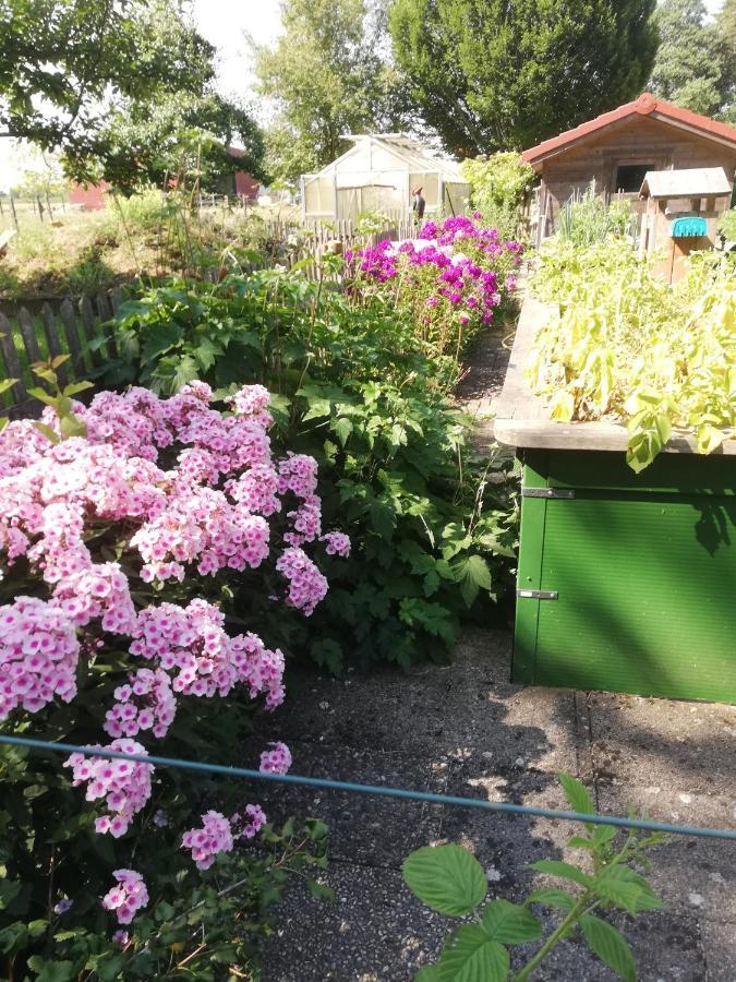 Einzigartige Naturoase Im Sueden Von Ingolstadt Brautlach المظهر الخارجي الصورة