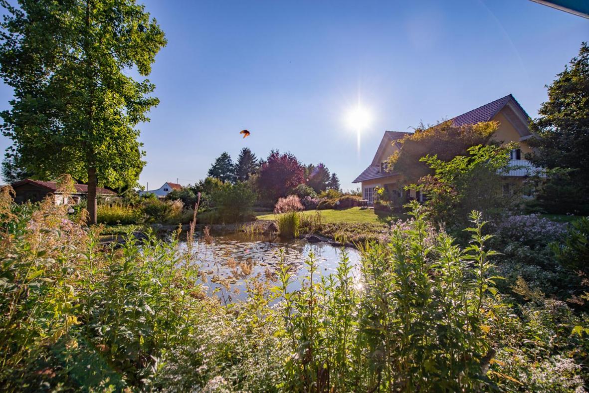 Einzigartige Naturoase Im Sueden Von Ingolstadt Brautlach المظهر الخارجي الصورة