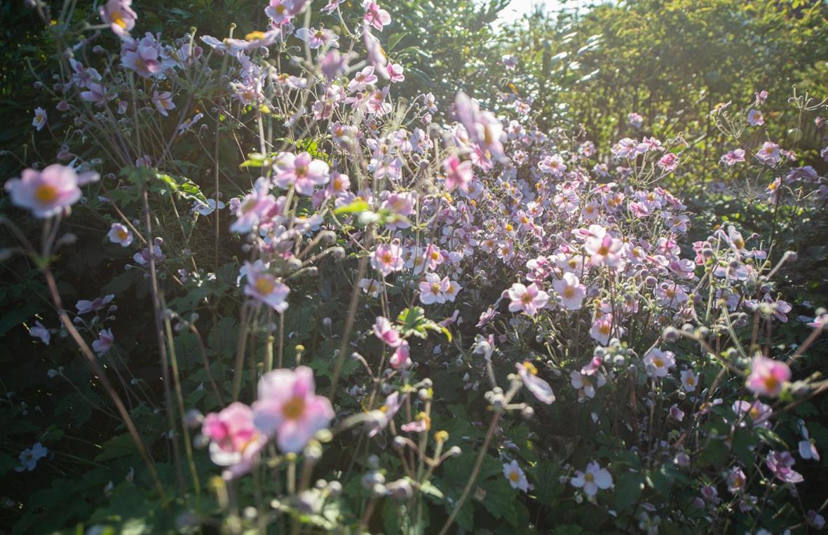 Einzigartige Naturoase Im Sueden Von Ingolstadt Brautlach المظهر الخارجي الصورة